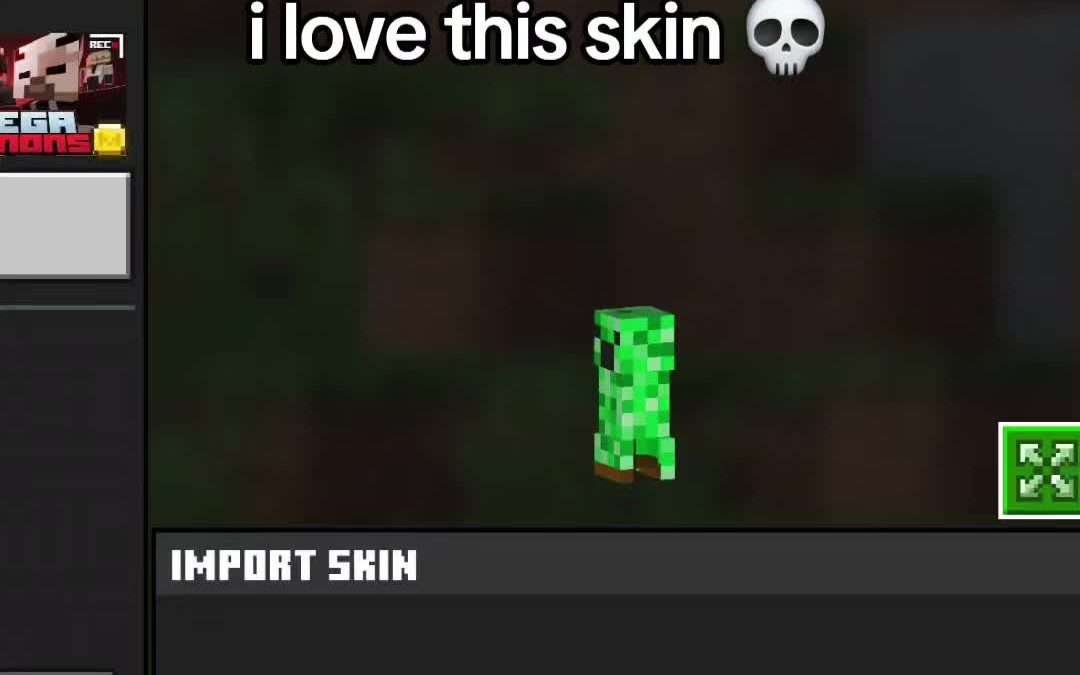 @davidsstuff69 #minecraft #minecraftskin  …