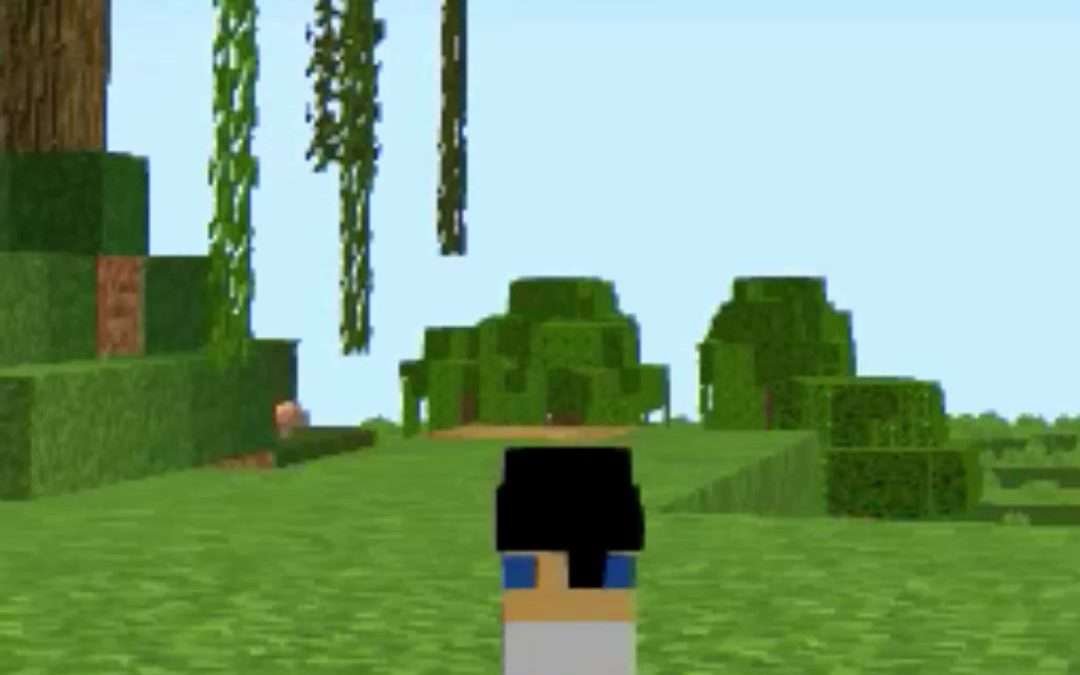 @elmelokawaii Cómo hacer una skin chiquita en Minecraft #minecraft #minecrafttut…
