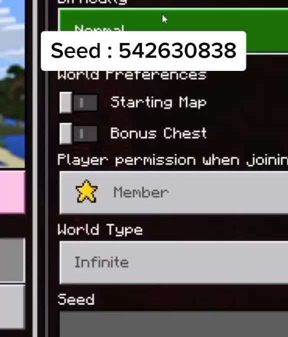 @supercrafy Cool Seed for Speedrun! #minecraft #foryou #foryoupage …