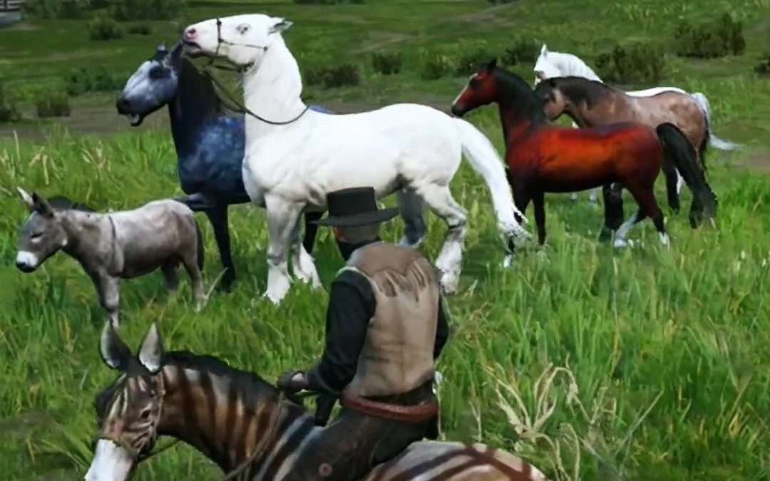 @quatorze.xiv Rare Horses,  Location in Red Dead Redemption 2  #rdr2 #reddeadred…