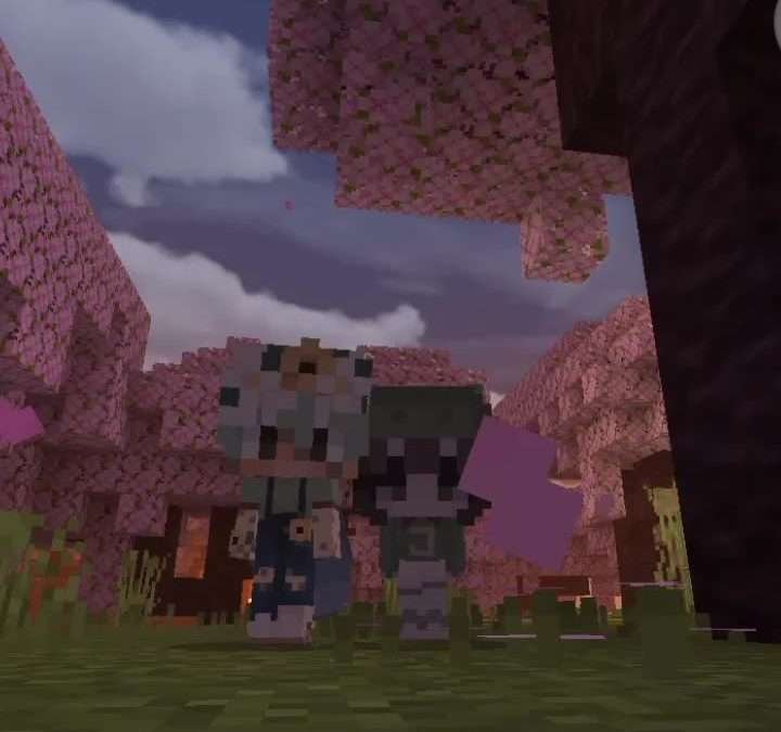 @jessirawrr verzi baby skin dance#minecraft  …