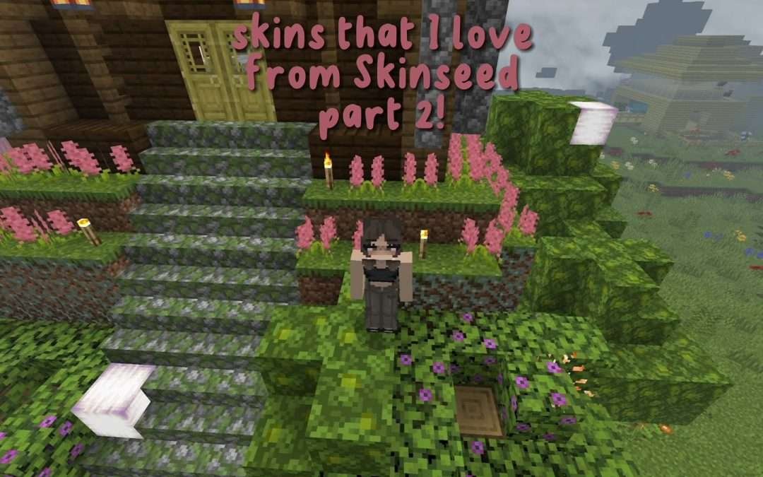 @aleevamil skinseed skins part 2! |  #AleEvaMil #fypシ #sisterlove #minecraft #sk…