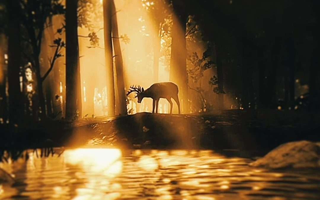 @lsbxcc All them years || ac: @siX | scp: @411 || #arthurmorgan #arthurmorganedi…