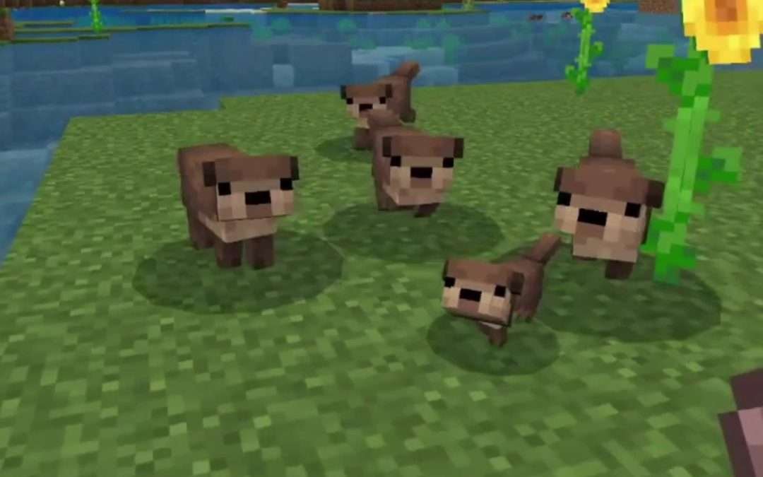 @demon_mushroom I Just Love the Bedrock addons!  #Minecraft #Cute #Mods #Otter #…