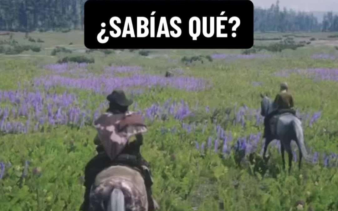 @_callmeragex ¿SABÍAS QUÉ?  #rd #rdronline #rdr #reddeadredemption2 #rdr2 #redde…