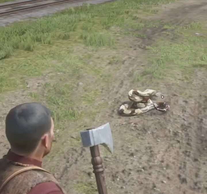 @apkgamesoficial24 RED DEAD REDEMPTION 2 | matando as cobras. #red #jogosonline …