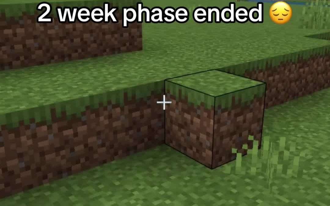 @elitedog777 #minecraft#minecraftsurvival#2weekminecraftphase #fyp …