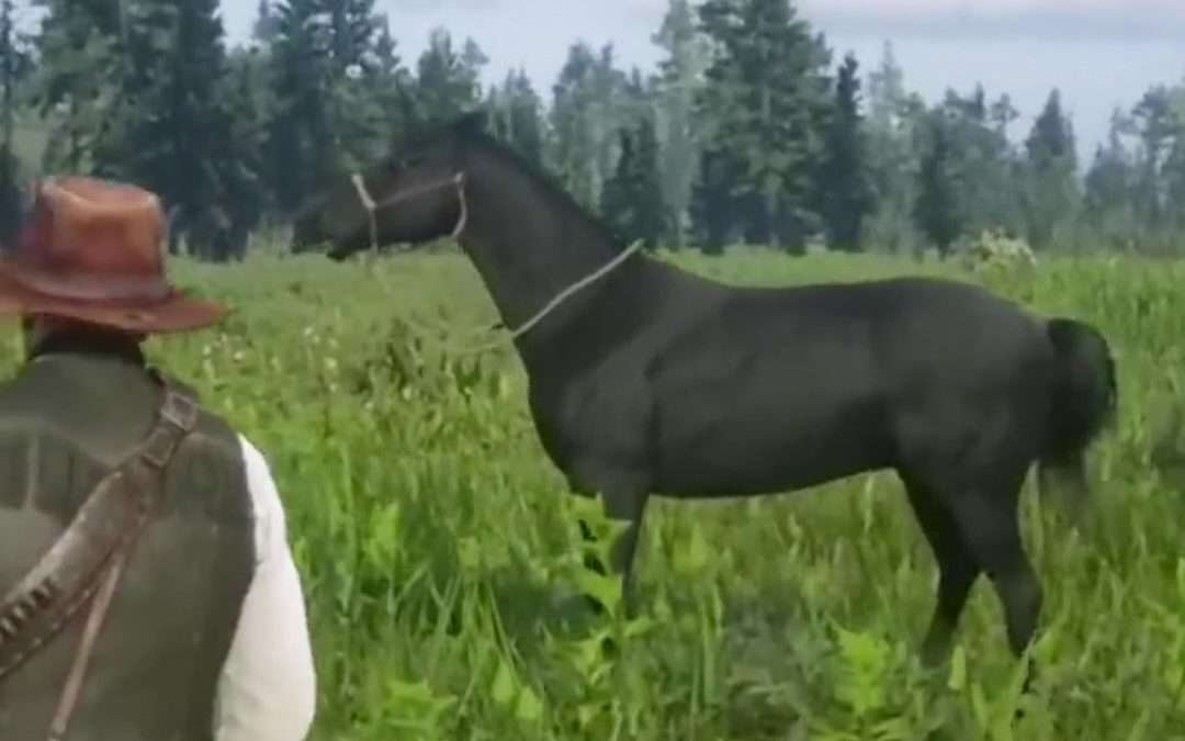 @whatifgamingggg Rare whild horses with location #gaming #gamingclips #edit #red…