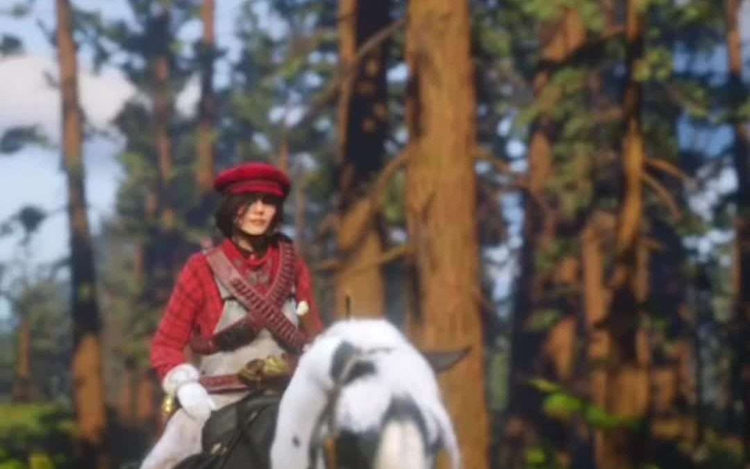 @missewoz Replying to @Seth L I Hope This helps Yall  #missewoz #reddeadredempti…