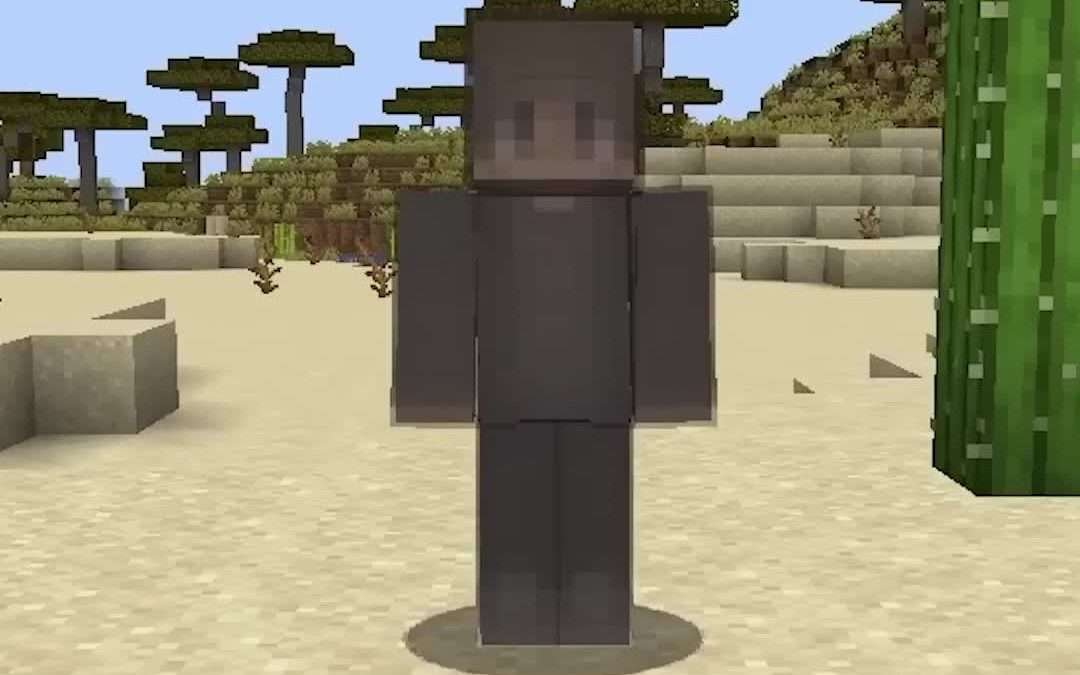 @minecraft.is.so.fun The most AVERAGE Minecraft skin… #fyp #minecraftbuilding …