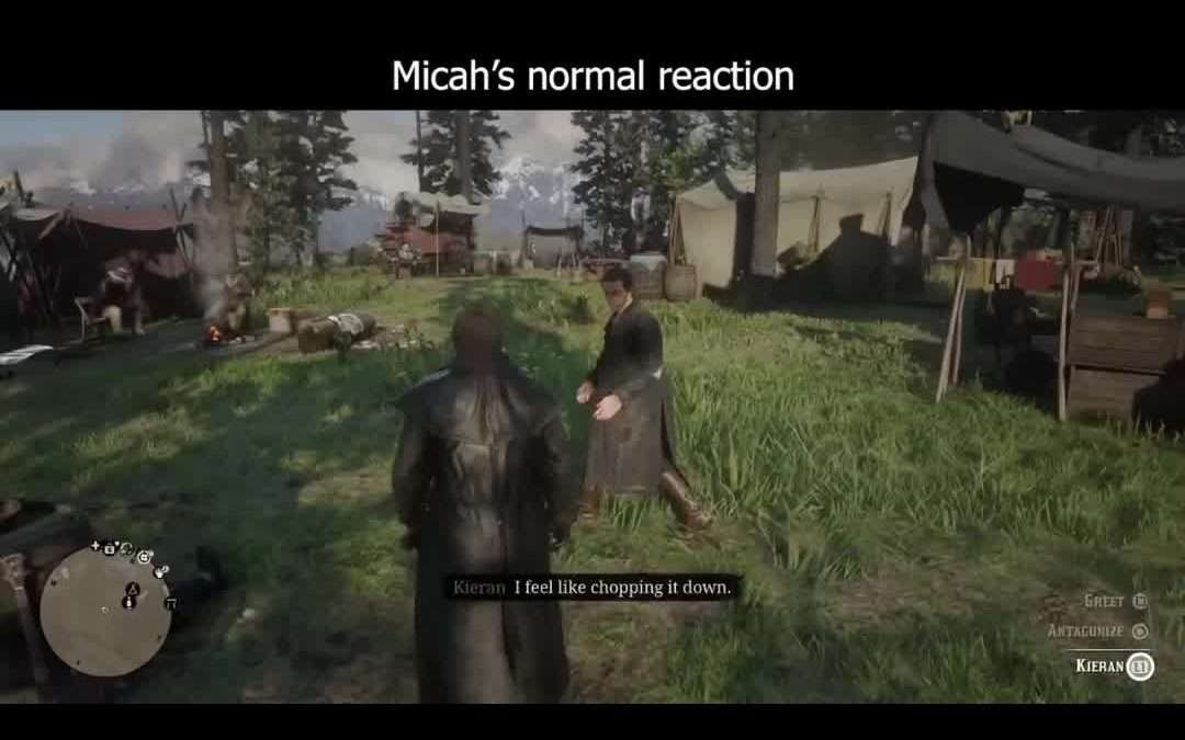 @ps4iconicgames #reddeadredemption2 #rockstargames #ps5 #gaming #gameplay #fyp #…