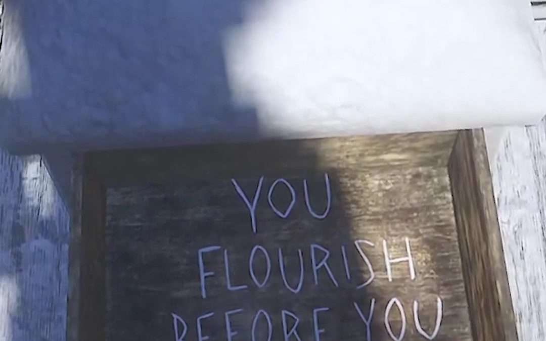 @jotajumper Cheat: YOU FLOURISH BEFORE YOU DIE  Use essa trapaça… #reddead #redd…