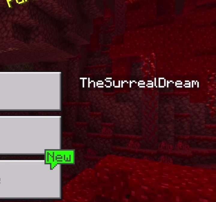 @h3yimjosh #fyp #tutorial #skinseedminecraft #minecraft #xyzbca I know nobody as…