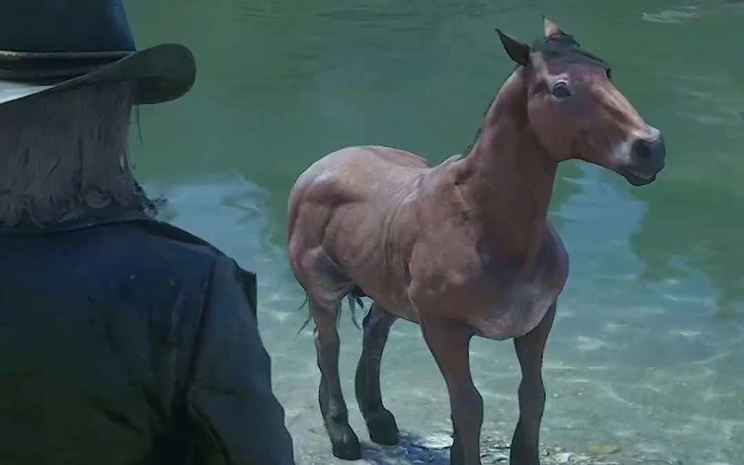 @sixgunlover77 Taming the Wild Bay Mustang. The map looks that way cuz I had Und…