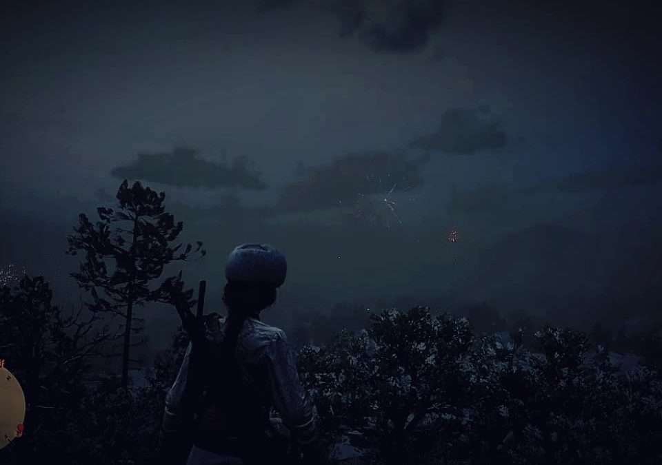 @ttnpoppy happy new year guys #rdo #online #playstation4 #reddeadredemption2 #20…