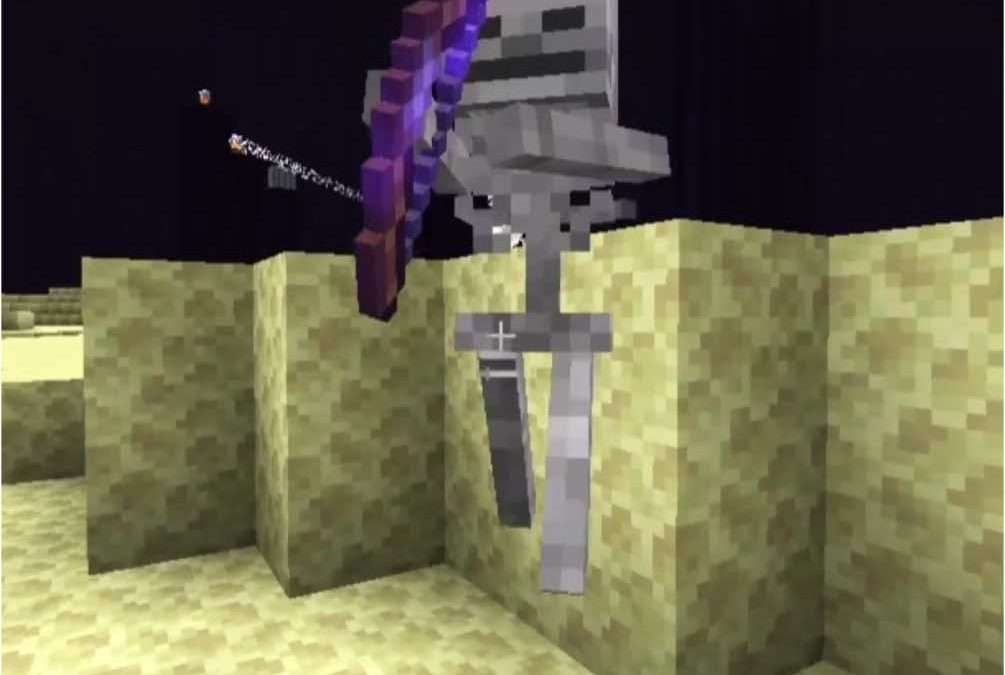 @daquavis_mc Minecraft skeleton meme #minecraft #minecraftmemes #minecrafter  …