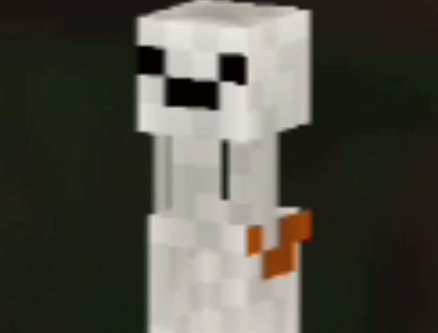 @maewnoiset_ what thu…what!? miniskin #minecraft #minecraftmemes #มายคราฟ #mem…