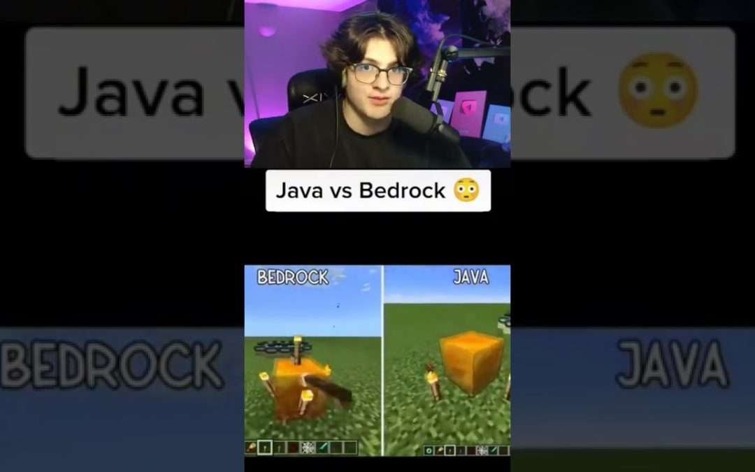 Bedrock VS Java Minecraft Players
