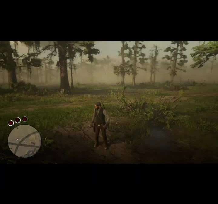 @cinnamondogo #SpotlightAPI #fypシ #reddeadredemption2 comment for the code …