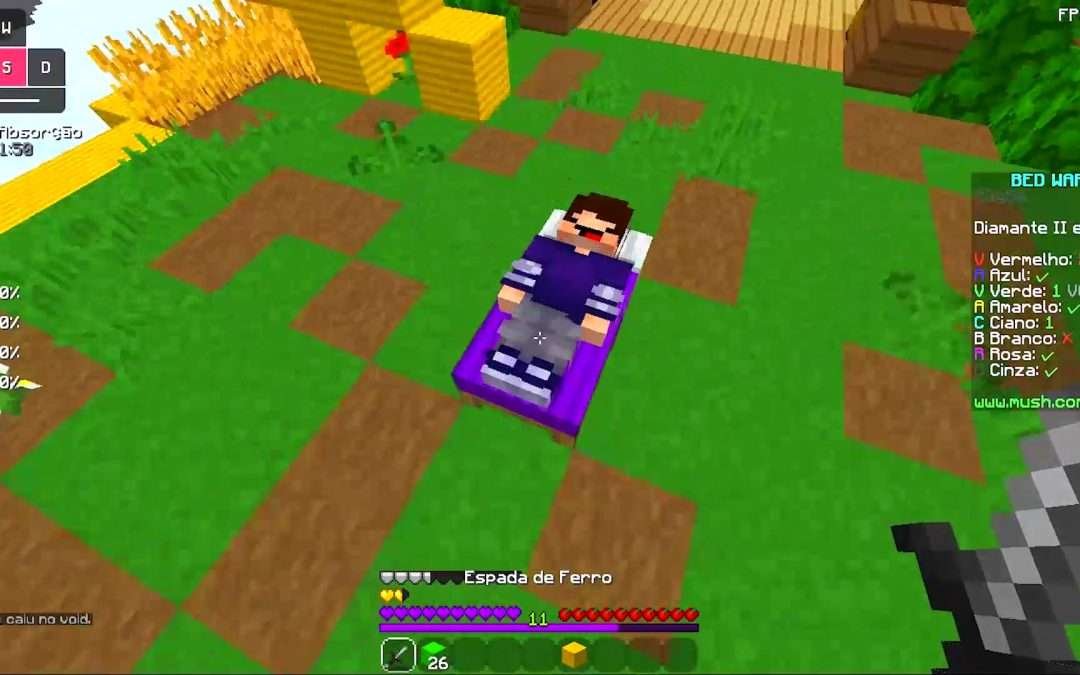 @eoyoshida me pediram tanto esse pinguim que tive que fazer dnv #bedwars #minecr…