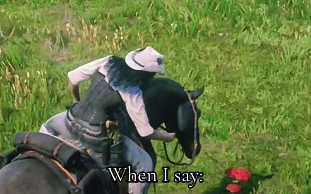 @therandom_fox Let us pick our flowers in peace. Go bully someone else. #reddead…