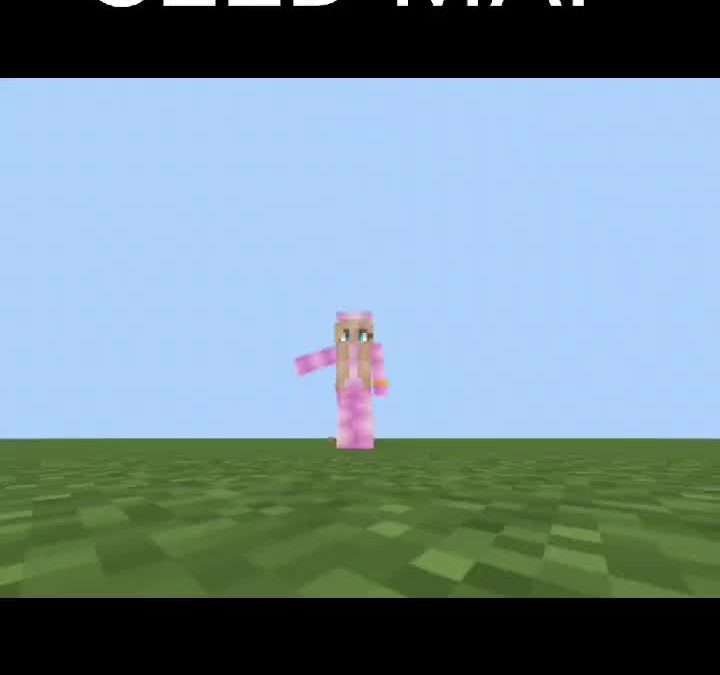 @jonathangpz usenla con sabiduría SEED MAP #minecraft #paginasutiles #fyp  …