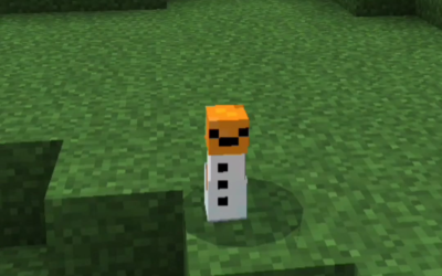 @maewnoiset_ มินิ skin what!? #minecraft #mcpe #minecraftmemes #meme #มายคราฟ #s…