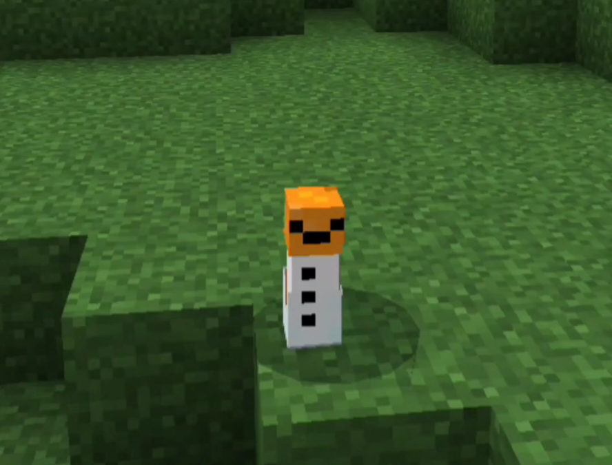 @maewnoiset_ มินิ skin what!? #minecraft #mcpe #minecraftmemes #meme #มายคราฟ #s…