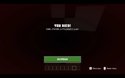 @city_shows I was tryna place a torch down  #minecraft #realm #minecraftrealm #d…
