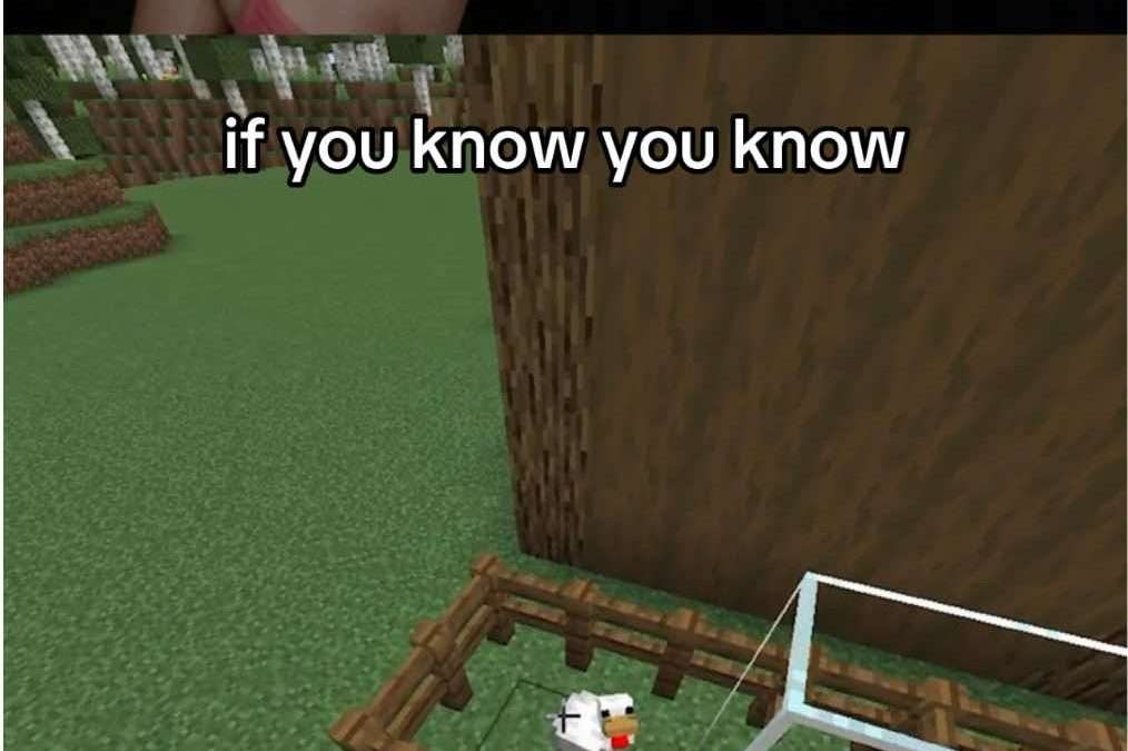 @penitentetv #minecraft #minecraftmemes #gaming  …