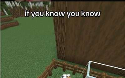 @penitentetv #minecraft #minecraftmemes #gaming  …