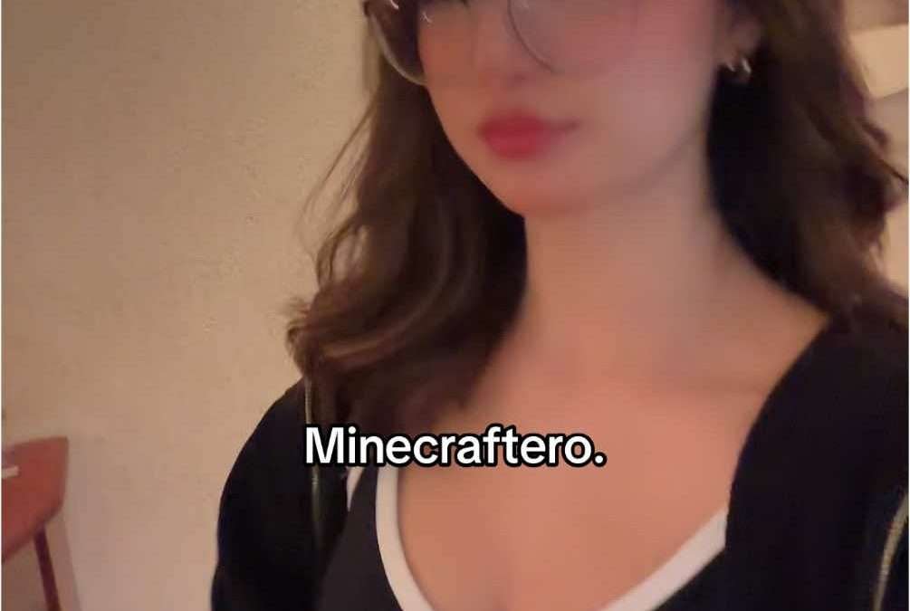 @besitosdegato_ Siempre tienen la mejor skin #fyp #minecraft #aimep3 #humor  …