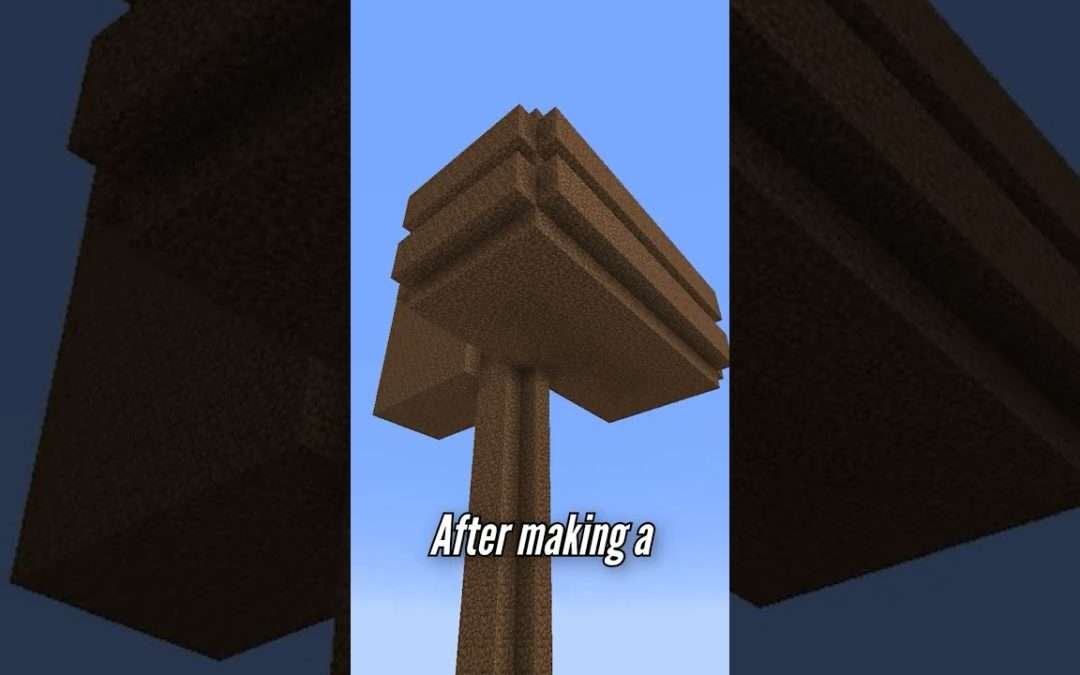 We built all this from just dirt…