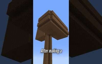 We built all this from just dirt…