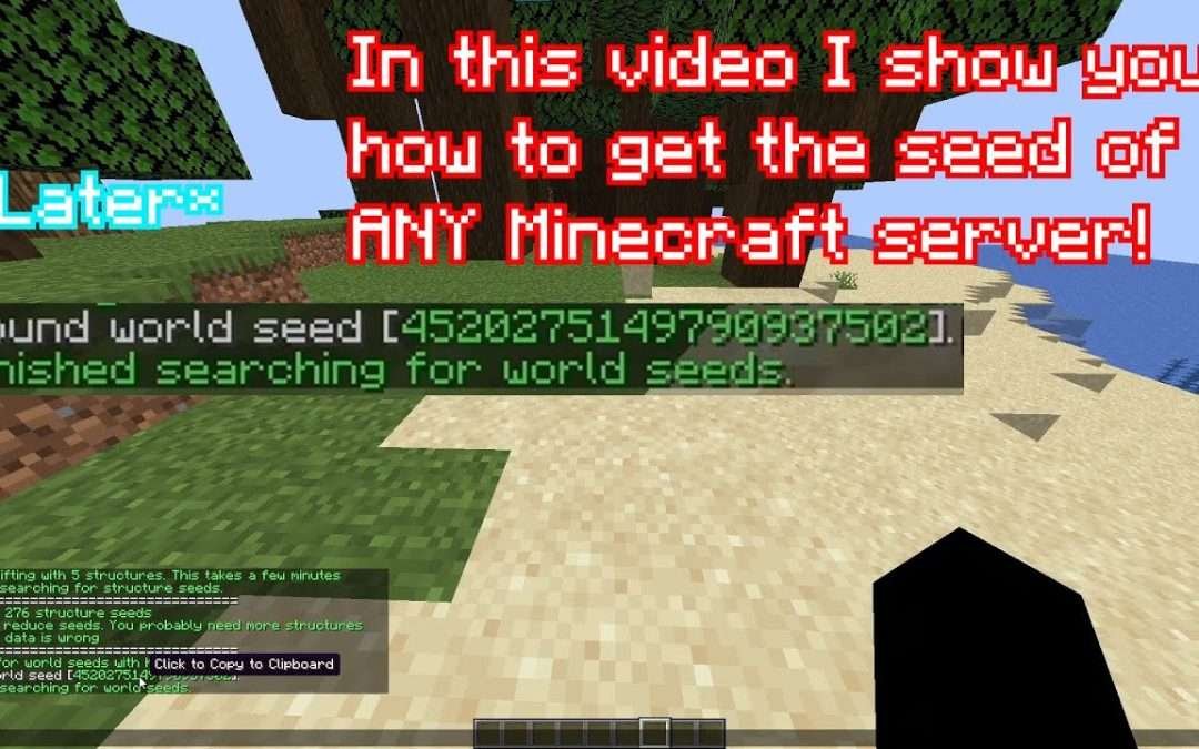 How To Get The Seed Of ANY Minecraft Server (SeedCrackerX)