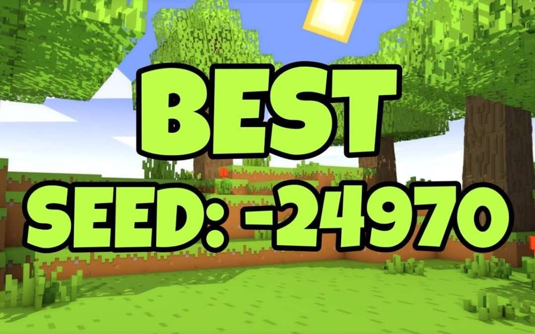 Best Seed Spawn Ever In Minecraft #10