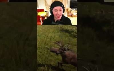 SORRY BAMBI