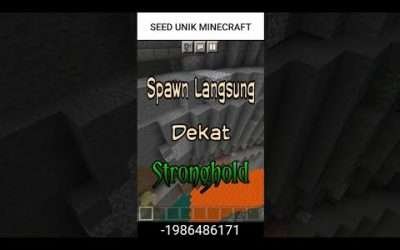 Best Seed Map Minecraft spawn directly near the village and stronghold #shorts #seed #minecraftpe