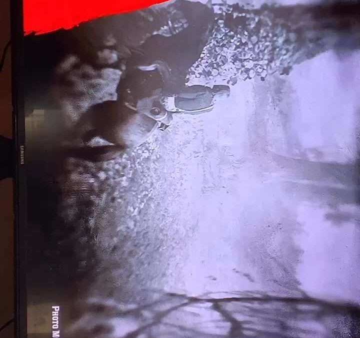 @red_dead_redemption_2__ Red dead redemption hack! Like if I should show you mor…