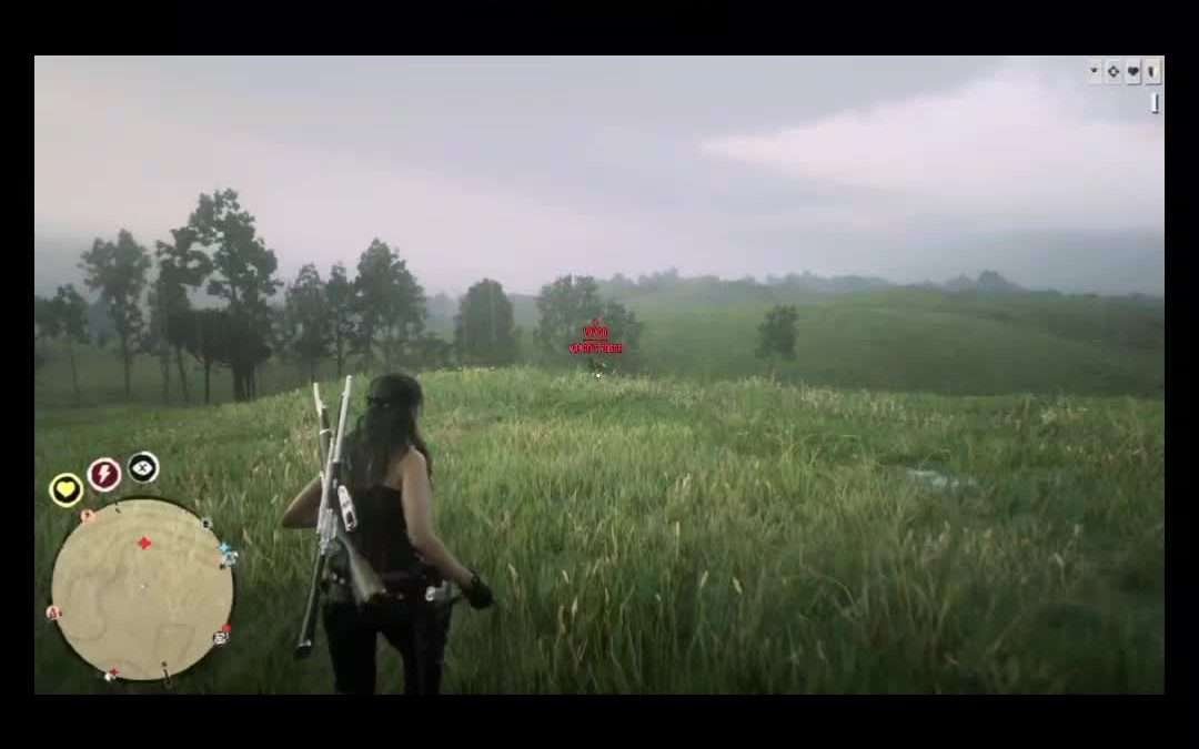 @rdo_ennzeee #cheaters #uninstall #getwrecked #beaverhat #lagswitch #duo #rdopvp…