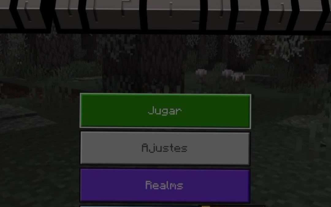 @themirruz #minecraft #realms #minecraftbedrock #vazghallert  #pvp #terrenos #ch…