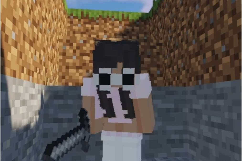 @madittv #minecraft #viral #mcyt #fyp #dsmp #minecraftpickuplines #rizz  …