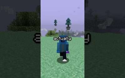 Old Minecraft SUCKS #shorts