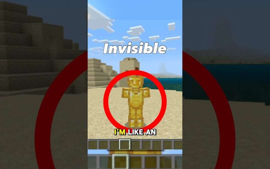 Can You Have a INVISIBLE Skin in Minecraft? 🤔
