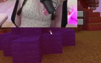 @daquavis_mc @hannahxxrose Minecraft bedwars #minecraft #fyp #trending  …