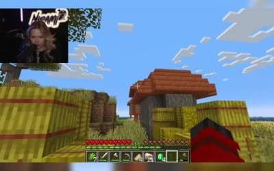 @nirami1 Cats #minecraft  …