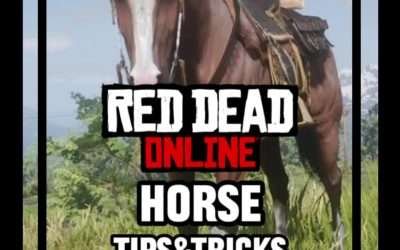 @rdr2_disconnected Yeehaw #rdo #reddeadonline #reddeadredemtion2 #reddead #rdr2o…