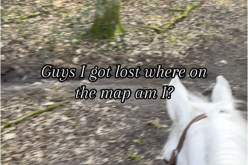 @nikki.vanderlinde Help me || #reddeadredemption2 #reddeadredemption #rdr2 #rdr …