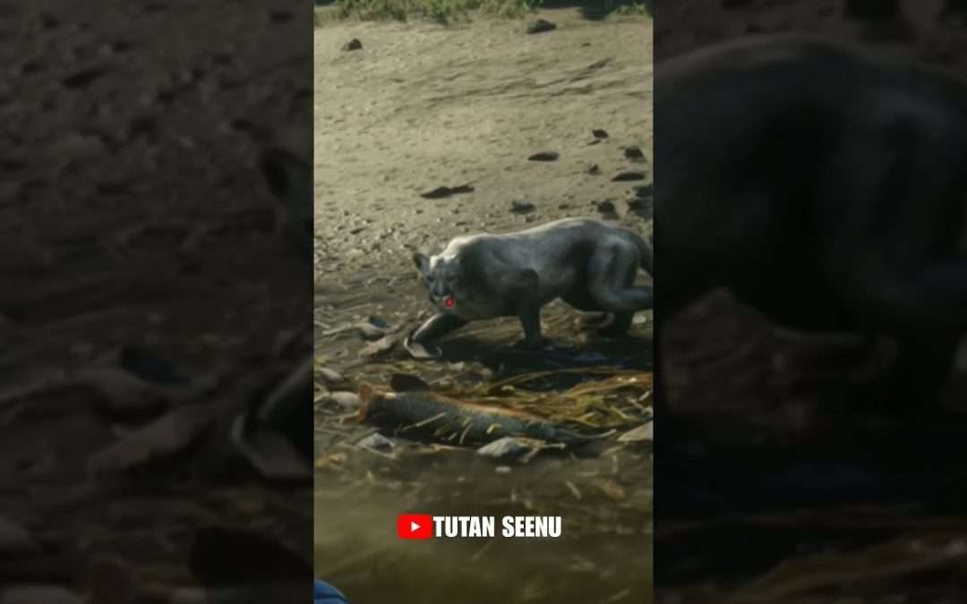 Pumacougar Attack reddeadredemption2 rdr2 arthurmorgan rockstargames steam