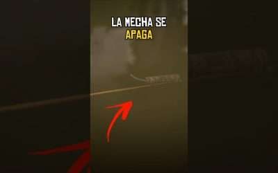 los detalles MAS PERFECTOS de RED DEAD REDEMPTION 2